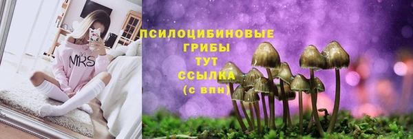 синтетический гашиш Беломорск