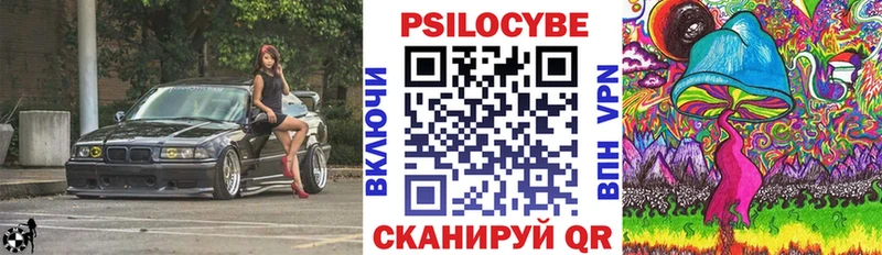 Псилоцибиновые грибы Psilocybe  Купить закладки  Ливны 